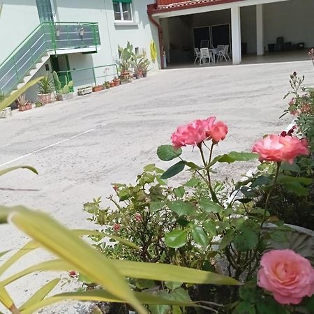 Gorizia Vacanze Appartamento In Villa Con Parcheggio מראה חיצוני תמונה