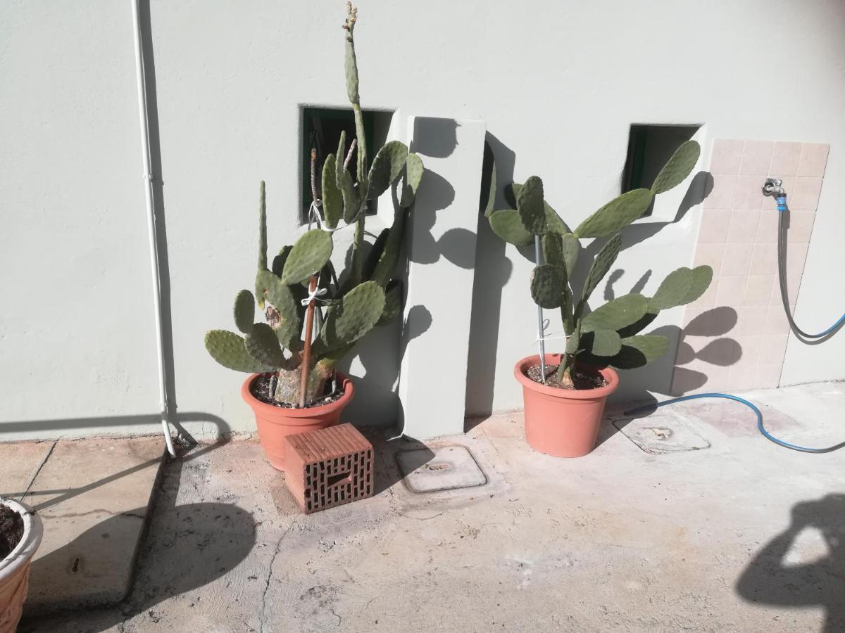 Gorizia Vacanze Appartamento In Villa Con Parcheggio מראה חיצוני תמונה