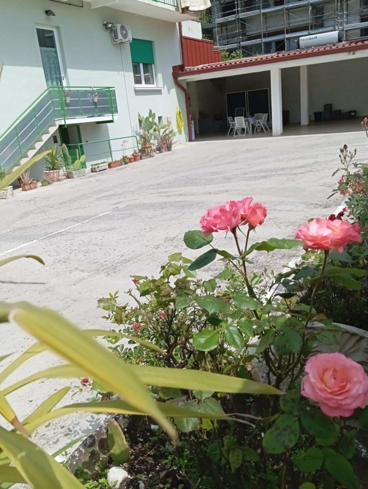 Gorizia Vacanze Appartamento In Villa Con Parcheggio מראה חיצוני תמונה
